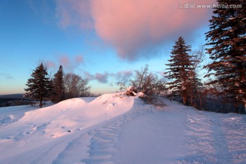 林海雪原 雪乡树木 白雪 冬天