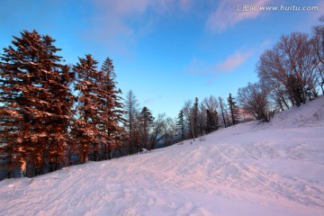 林海雪原 雪乡 白雪