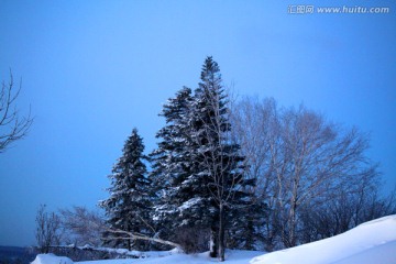 林海雪原 雪乡 白雪 冬天 山