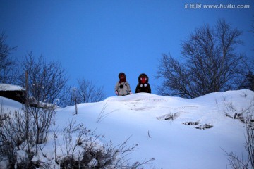 林海雪原 雪乡 白雪