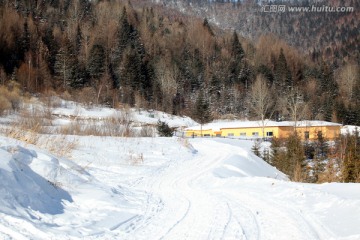 林海雪原 雪乡 山 松树 松林