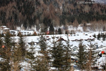 林海雪原 雪乡 山 松树 松林