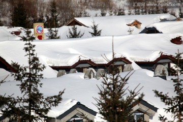 雪乡 双峰林场