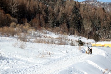 林海雪原 雪乡