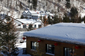 雪乡 双峰林场 中国雪乡 雪景