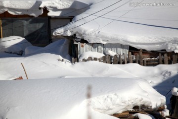 雪乡 双峰林场 东北民居 白雪