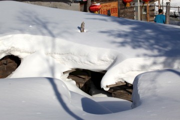 雪乡 双峰林场 中国雪乡 雪景