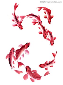 九魚圖