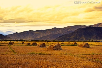 风景画