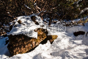 轿子雪山风光