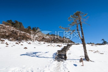 轿子雪山风光