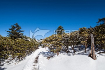 轿子雪山风光