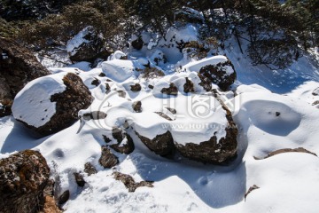 白雪覆盖的溪流岩石