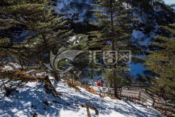 林海雪地栈道上的红衣少女