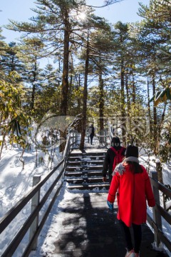 走在林海雪地栈道红衣少女