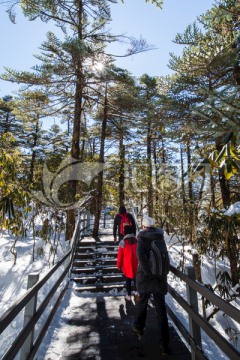 林海雪地栈道上的红衣少女