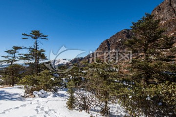 雪山远眺