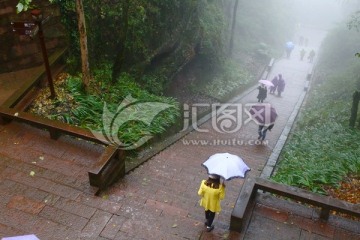 雨中登山游人