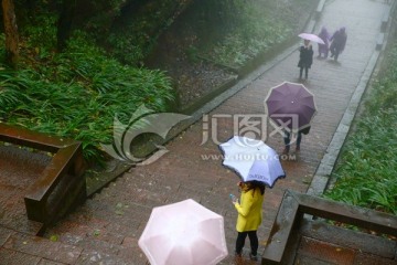 雨中登山游人