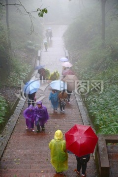 雨中登山游人