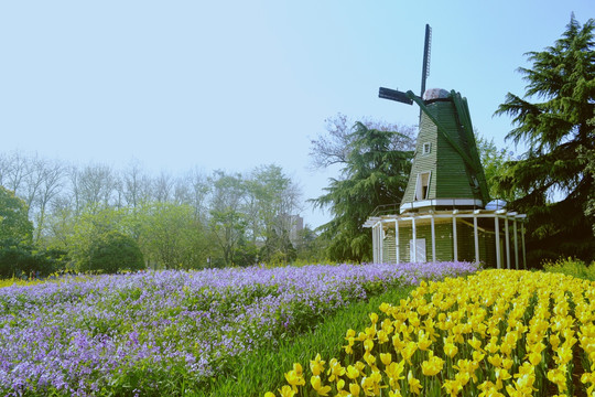 公园风景