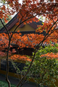 永福禅寺