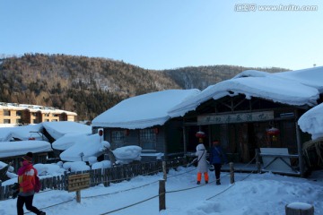 雪乡 双峰林场 雪景