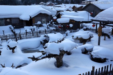 雪乡 双峰林场 雪景