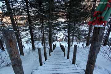 林海雪原 雪乡 山 松树 松林