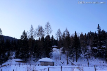 林海雪原 雪乡 山 松树 松林