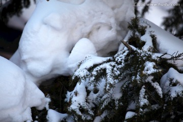 林海雪原 雪乡 山 松树 松林