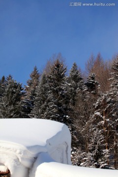 林海雪原