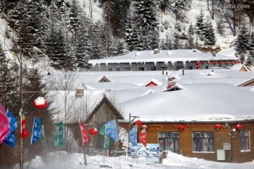 雪乡 双峰林场 雪景