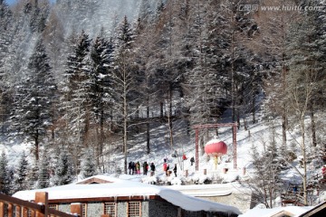 林海雪原 雪乡 山