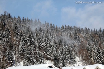 林海雪原 雪乡 山 松树 松林