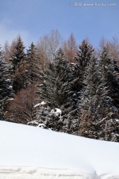 林海雪原