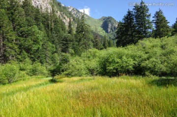 九寨沟高山森林草地植被湿地沼泽