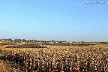 秋日收获之后的田野