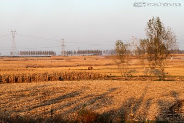 东北农村 秋天田园风光