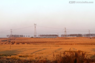 东北农村 秋天田园风光