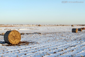 雪后的东北田野