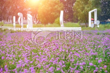 薰衣草莊園