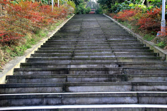 台阶 石梯 梯步