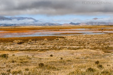 青藏高原湿地