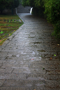 公园 雨后的石板路