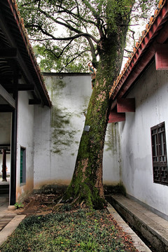 长沙 岳麓山 岳麓书院