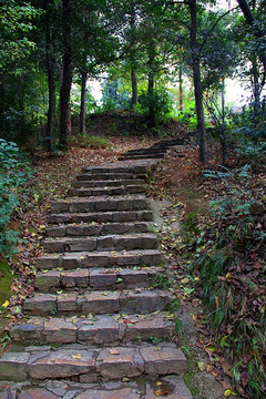 岳麓山 登山小路