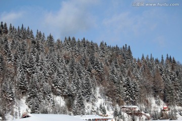 雪乡 雪景