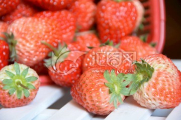 草莓 鲜果