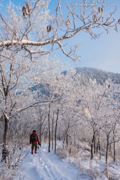 雪 雪景 白雪 仰天山风光 冬